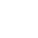 Customized Software Development