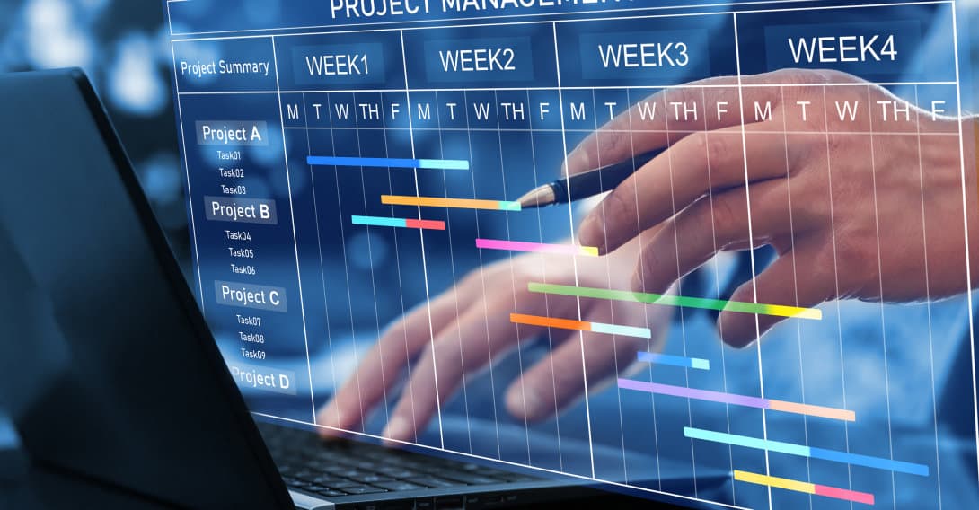 Web development visual